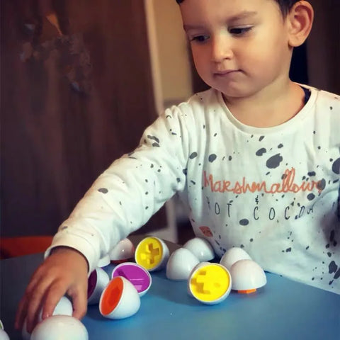 Jouet pour enfant, 6- 12 oeufs de poules, jouet sensoriel pour les tout-petits, Montessori, Motricité fine - Trieur de couleurs et de formes